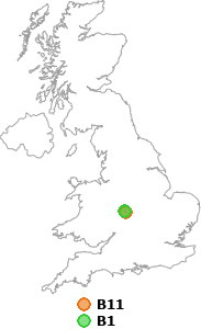 map showing distance between B11 and B1