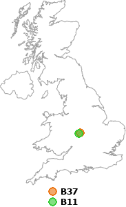 map showing distance between B37 and B11