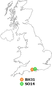 map showing distance between BH31 and SO14