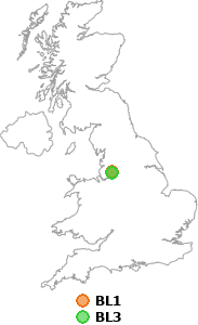 map showing distance between BL1 and BL3