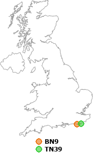 map showing distance between BN9 and TN39