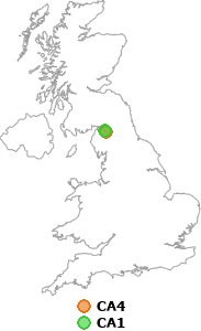 map showing distance between CA4 and CA1