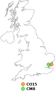 map showing distance between CO15 and CM8