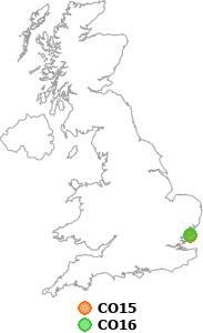 map showing distance between CO15 and CO16