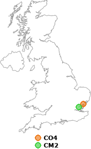 map showing distance between CO4 and CM2