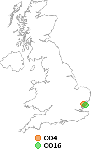map showing distance between CO4 and CO16