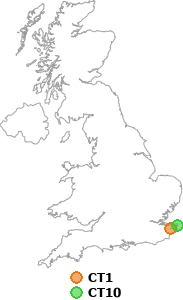 map showing distance between CT1 and CT10