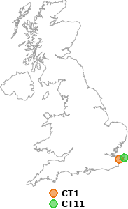 map showing distance between CT1 and CT11