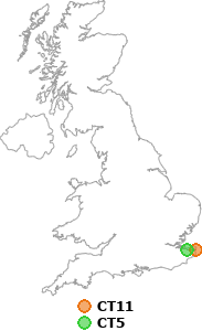 map showing distance between CT11 and CT5
