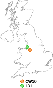 map showing distance between CW10 and L31