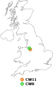 map showing distance between CW11 and CW8