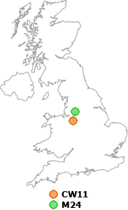 map showing distance between CW11 and M24