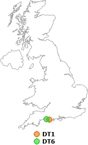 map showing distance between DT1 and DT6