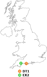 map showing distance between DT1 and EX2