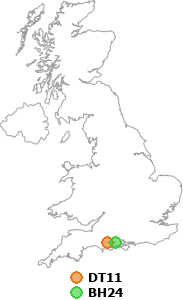 map showing distance between DT11 and BH24
