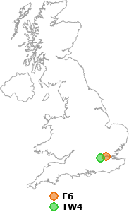 map showing distance between E6 and TW4