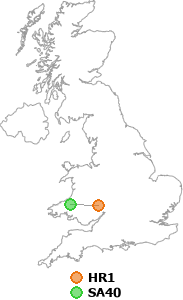 map showing distance between HR1 and SA40