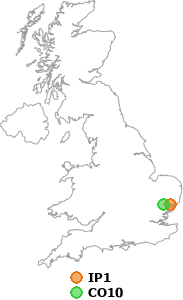 map showing distance between IP1 and CO10