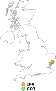 map showing distance between IP4 and CO3