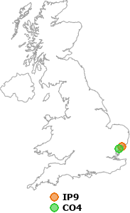 map showing distance between IP9 and CO4