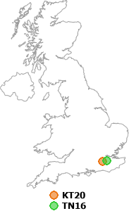 map showing distance between KT20 and TN16