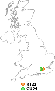 map showing distance between KT22 and GU24
