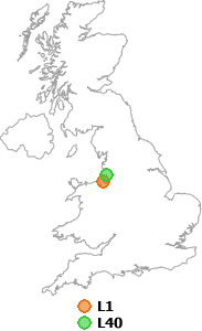 map showing distance between L1 and L40