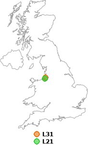 map showing distance between L31 and L21