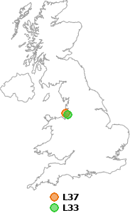 map showing distance between L37 and L33