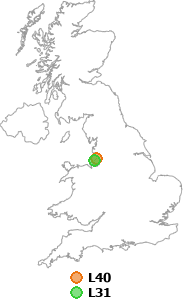 map showing distance between L40 and L31