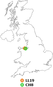 map showing distance between LL19 and CH8