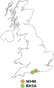 map showing distance between SO40 and BH16