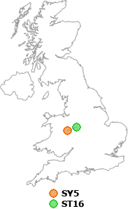 map showing distance between SY5 and ST16