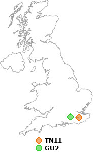 map showing distance between TN11 and GU2