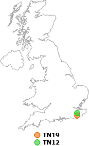 map showing distance between TN19 and TN12