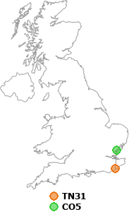 map showing distance between TN31 and CO5