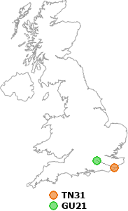 map showing distance between TN31 and GU21