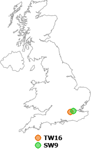 map showing distance between TW16 and SW9