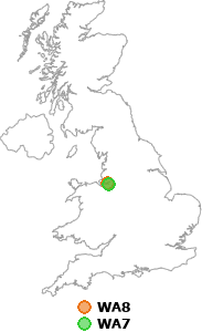 map showing distance between WA8 and WA7