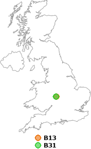 map showing distance between B13 and B31