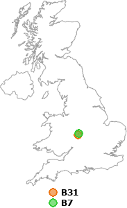 map showing distance between B31 and B7