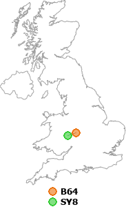 map showing distance between B64 and SY8