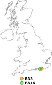 map showing distance between BN3 and BN16