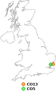 map showing distance between CO13 and CO5