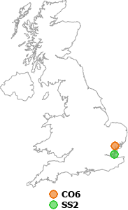 map showing distance between CO6 and SS2