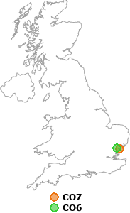 map showing distance between CO7 and CO6