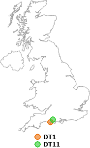 map showing distance between DT1 and DT11