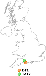 map showing distance between DT1 and TA12