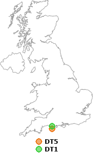 map showing distance between DT5 and DT1