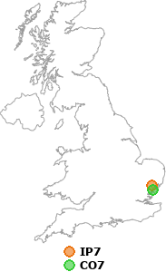 map showing distance between IP7 and CO7